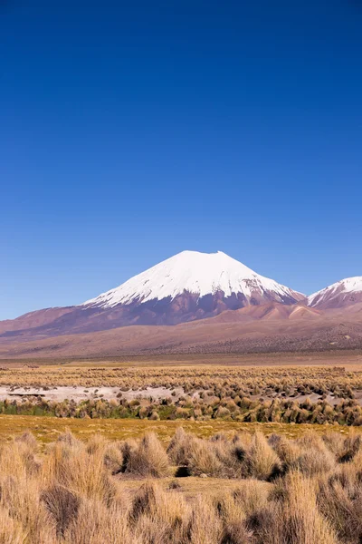 Vulcano Parinacota. Alto paesaggio andino nelle Ande . — Foto Stock