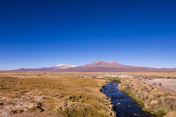 Kleiner Bach in den Anden. Park Sajama, Bolivien — Stockfoto