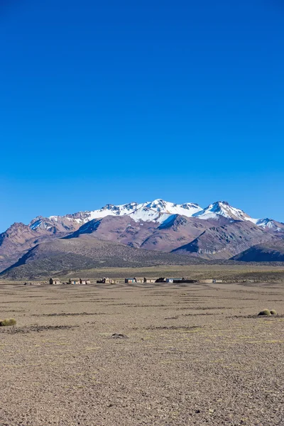 Petit village de bergers de lamas dans les montagnes andines. Un — Photo