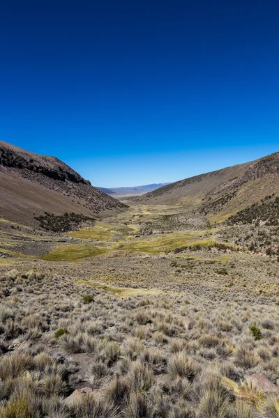 Paisaje de un valle árido en las tierras altas andinas —  Fotos de Stock