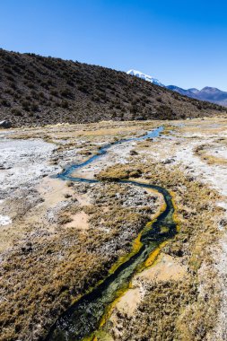 Junthuma geysers jeotermal faaliyet tespit tarafından kuruldu. Bolivya