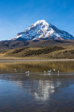 Sajama volkan ve göl Huanacota. And Bolivya