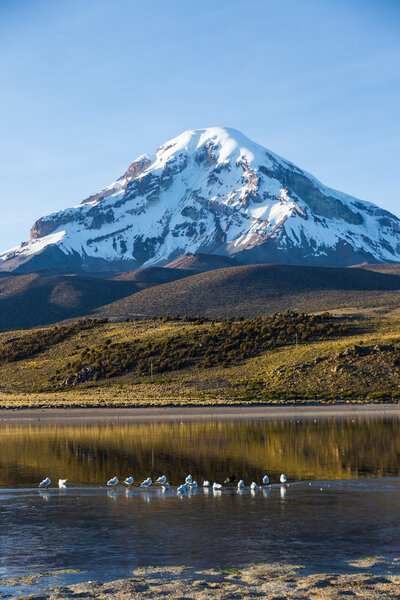 Sajama volcano and lake Huanacota. Andean Bolivia