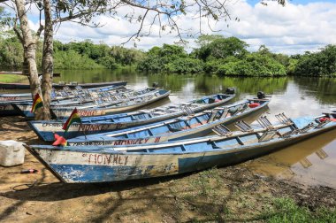 Bağlantı noktası Madidi Nehri üzerinde tekne 