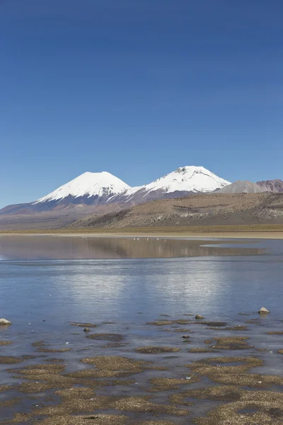 Parque Nacional Sajama en Guardabosques de Bolivia - —  Fotos de Stock