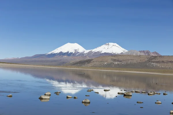 Der sajama nationalpark in ranger von bolivien- — Stockfoto