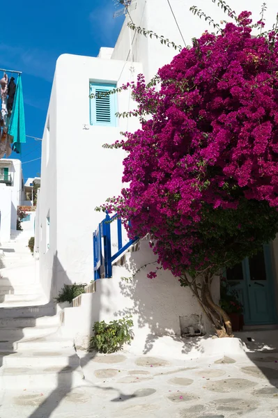 Tradiční architektura vesnici Oia na ostrově Santorini, Gre — Stock fotografie