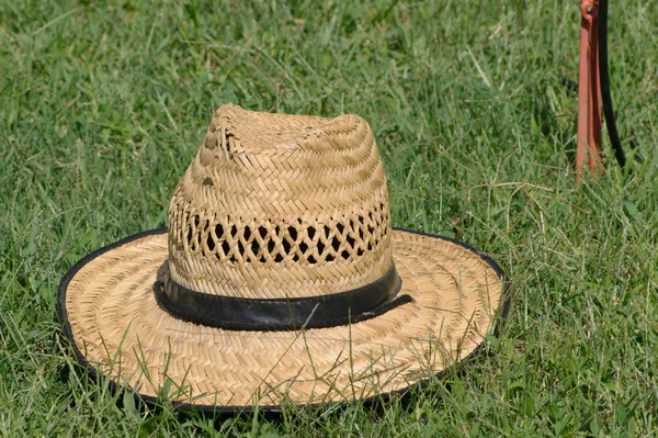 Hat on the lawn background — Stock Photo, Image