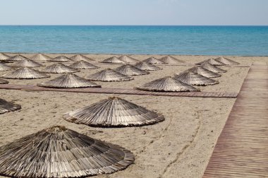 mükemmel tropikal plaj şemsiye