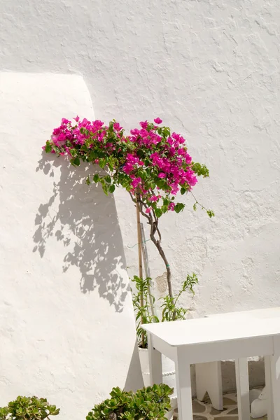 Flores de buganvillas con una mesa tradicional blanca. Mykonos — Foto de Stock