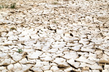 Kuru kırık dünya arka plan, kil çöl doku closeup