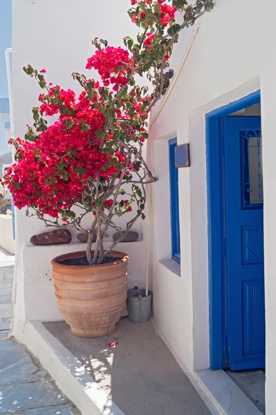 Architettura tradizionale del villaggio di Oia sull'isola di Santorini, Gre — Foto Stock
