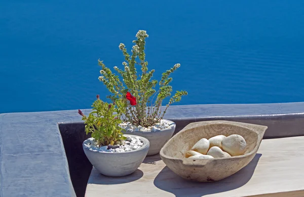 Διακόσμηση με βότανα σε ελληνική μπαλκόνι στο νησί της Σαντορίνης, Gr — Φωτογραφία Αρχείου