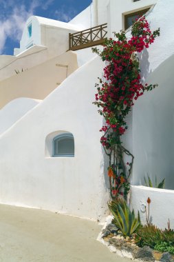 santorini Adası, gre oia köyün geleneksel mimari