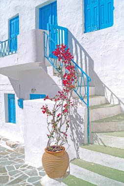 santorini Adası, gre oia köyün geleneksel mimari