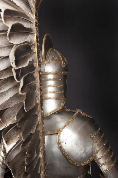 Armour — Stock Photo, Image