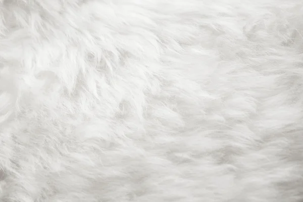 Natural white fur background — Stock Photo, Image