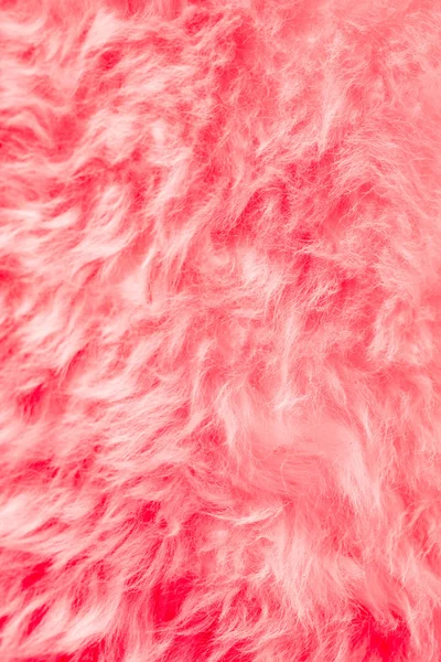 Natural pink fur background — Stock Photo, Image