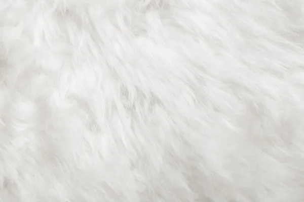 Natural white fur background — Stock Photo, Image