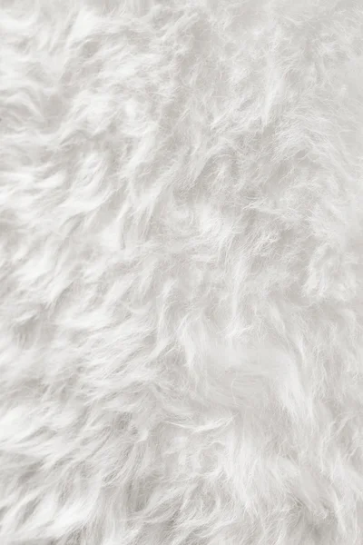 natural white fur background