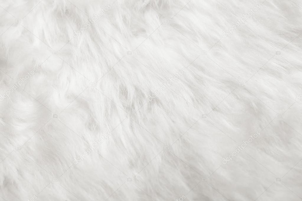 natural white fur background