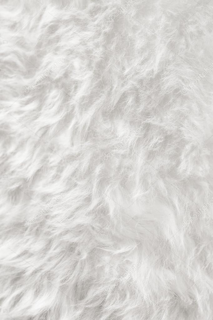 White fur background Stock Photos, Royalty Free White fur background Images