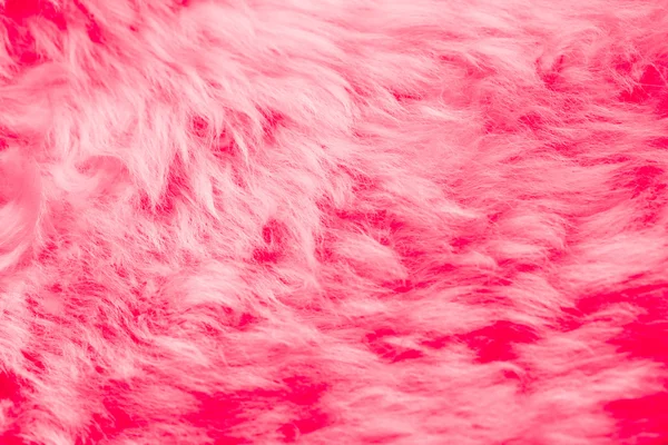 Natural pink fur background — Stock Photo, Image