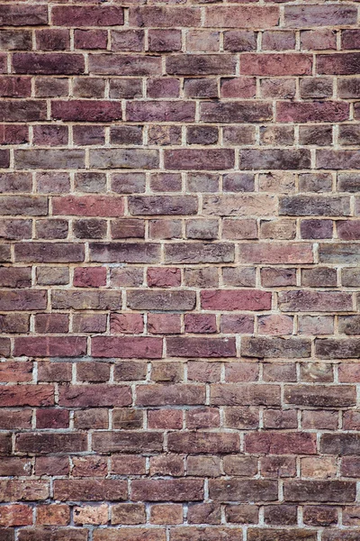 Vecchio sfondo muro di mattoni, tono viola — Foto Stock