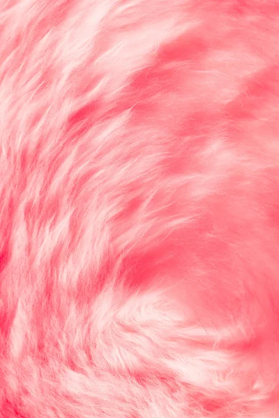 자연 분홍색 모피 배경 — 스톡 사진