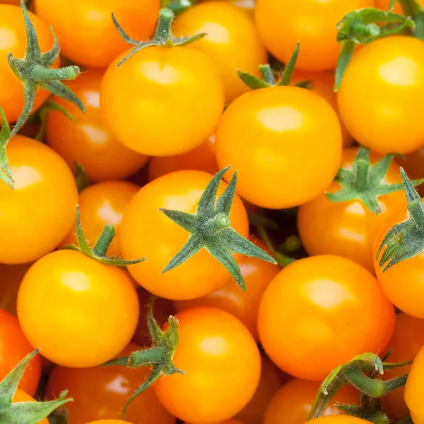 Amarelo tomate cereja fundo — Fotografia de Stock