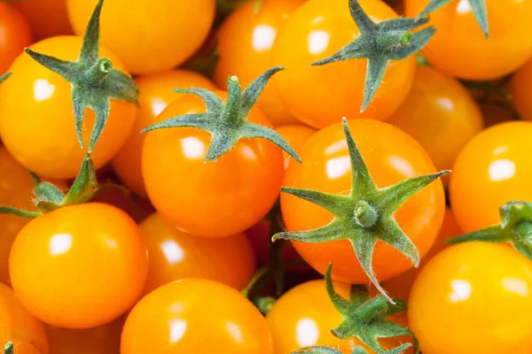 Amarelo tomate cereja fundo — Fotografia de Stock