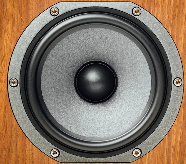 Audio loudspeaker in wooden cabinet — Stock Photo, Image