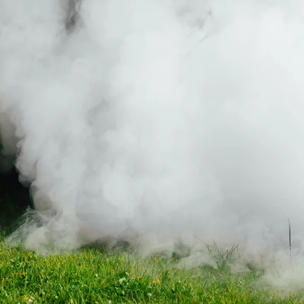 Дым над зеленой травой — стоковое фото