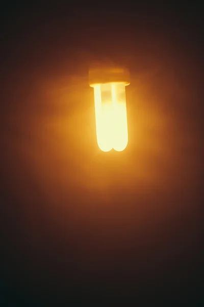 fluorescent lamp, warm light in fog