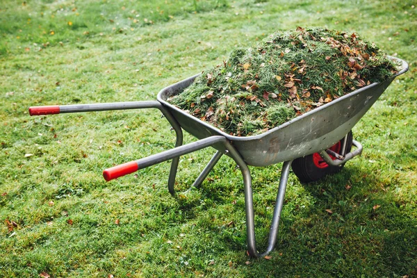 Kruiwagen met gras op groen gazon achtergrond — Stockfoto