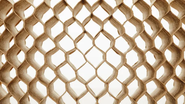 Honingraat Cellen Van Karton Verstijving Rib Achtergrond — Stockfoto