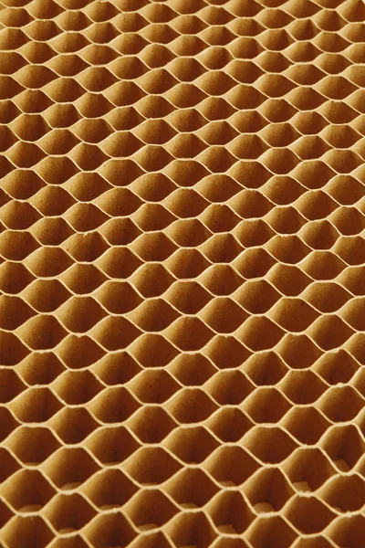 Honeycomb Cells Cardboard Stiffening Rib Background — Stock Photo, Image