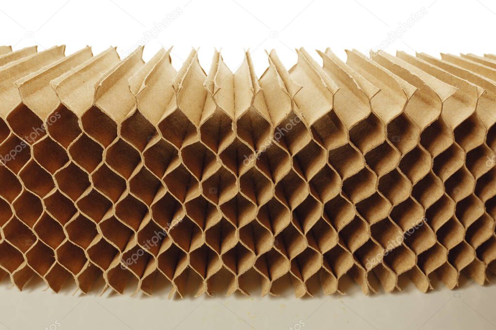 honeycomb cells of cardboard stiffening rib background