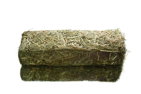 Fresh Hay Dry Grass Cube Domestic Animals Feeding Isolated White — Stock Photo, Image
