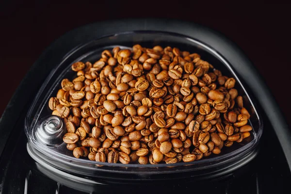 Coffee Beans Coffeemaker Bean Container Close View — Stock Photo, Image