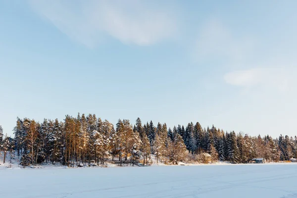 Frusen Sjö Med Snö Och Vinter Skog Blå Himmel Bakgrund — Stockfoto