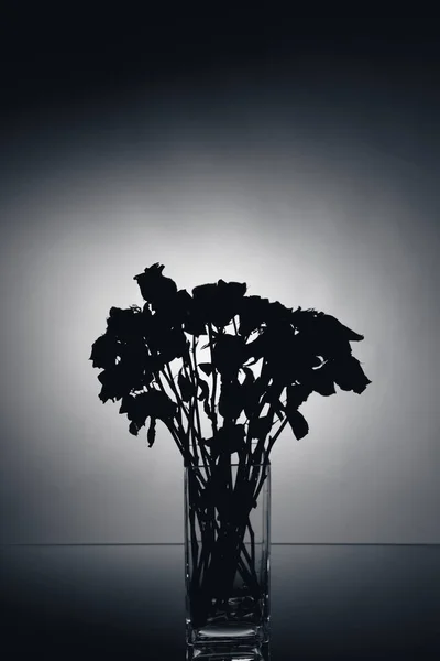 bouquet of dried roses silhouette, close-up view