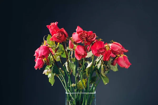 Boeket Van Gedroogde Roze Rozen Close Uitzicht — Stockfoto