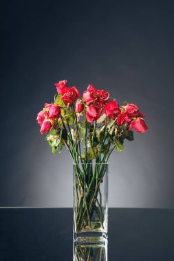 Vazoda bir buket kurumuş pembe gül, koyu arkaplan