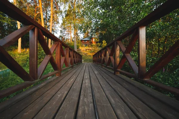 Dřevěný Molo Průchod Lesa — Stock fotografie