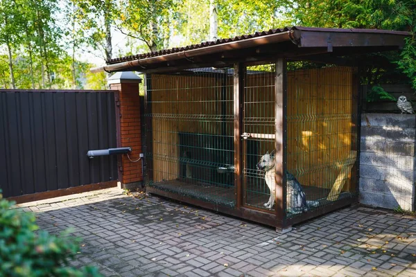 Outdoor Dog Kennel Enclosure Front Yard Stock Photo