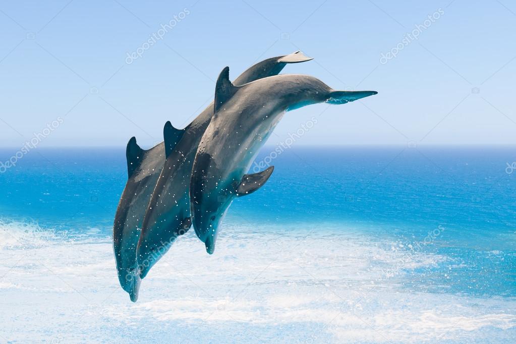 group of jumping dolphins, blue sea background