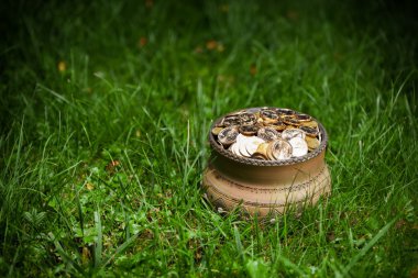 pot altın sikke, Aziz patrick günü'kavramı ile