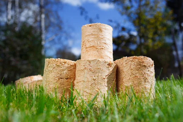 Wooden pellets on green grass background — Stock Photo, Image