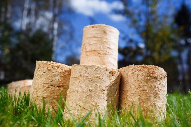 yeşil çim zemin üzerine ahşap parçaları